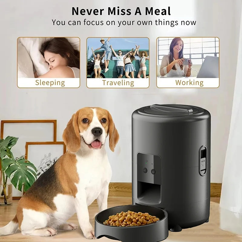 Smart 2L Timed Automatic Pet Feeder For Cats And Dogs