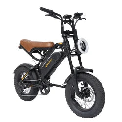 Bodywel M16 Off Road Fat Tire Electric Bicycle