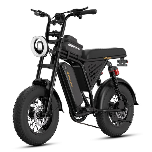 Bodywel M16 Off Road Fat Tire Electric Bicycle
