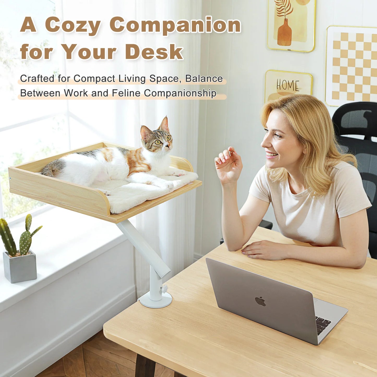 PAWZ Road Cat Desk Bed 360 Rotatable Stand